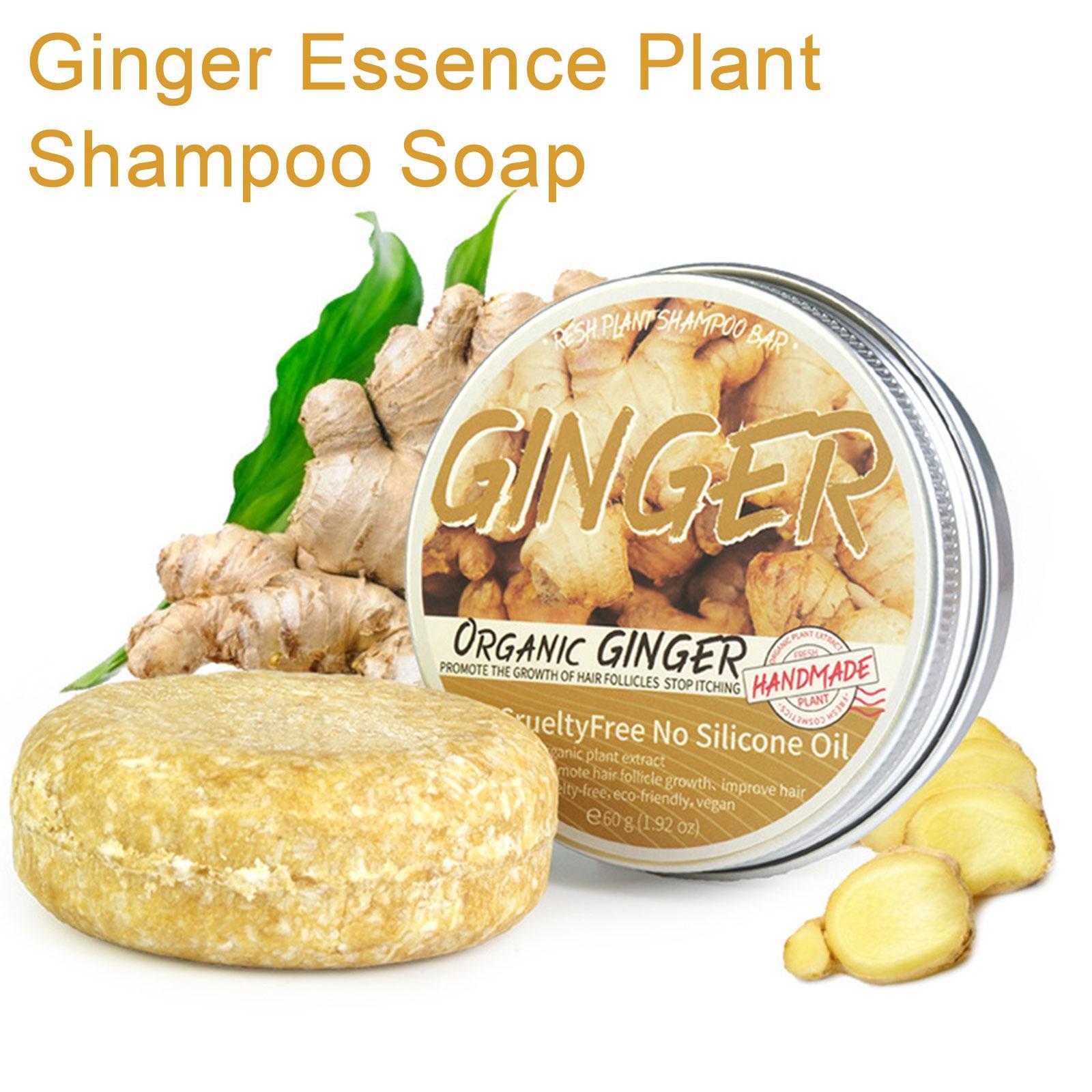 Hair Care Organic - Sampo sabun jahe poligonum, sabun perawatan